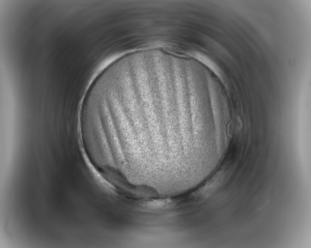 X0000086741055200704271646