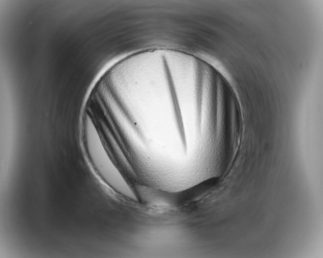 X0000086741056200704271646