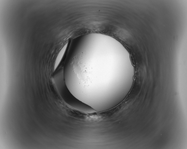 X0000086741058200704271646