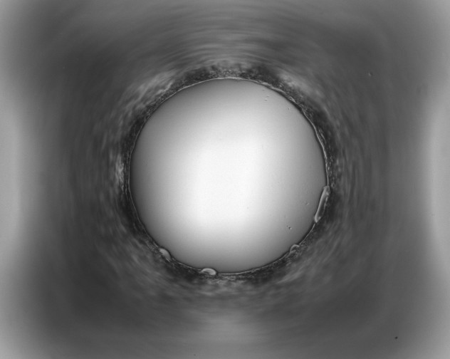 X0000086741061200704271646