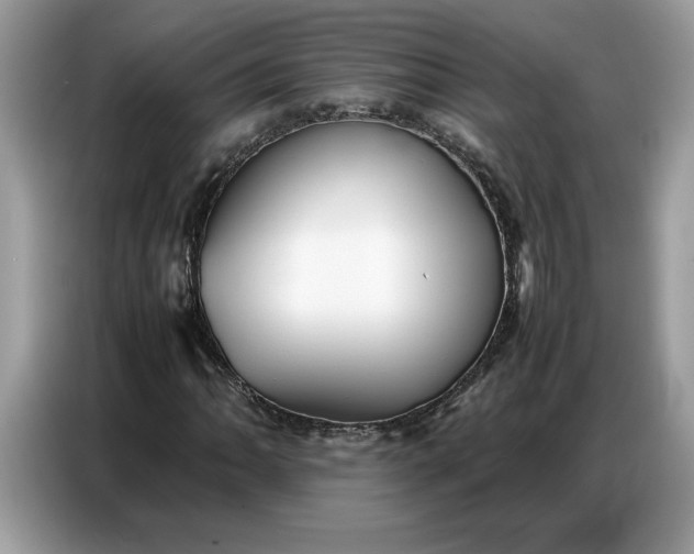 X0000086741062200704271646