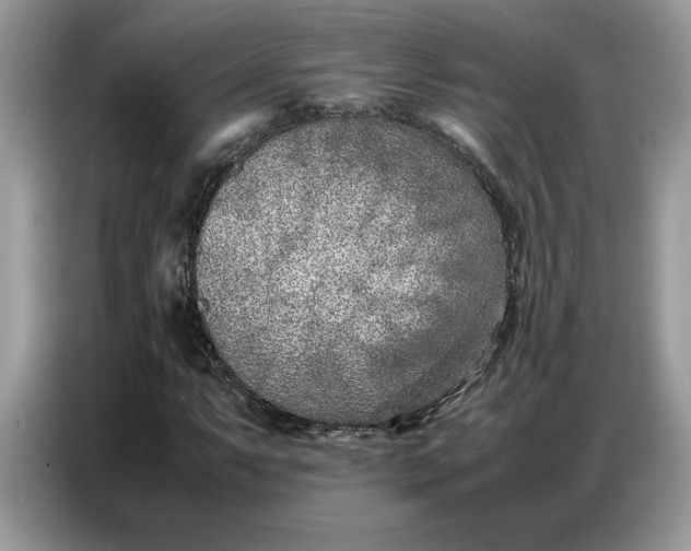 X0000086741063200704271646