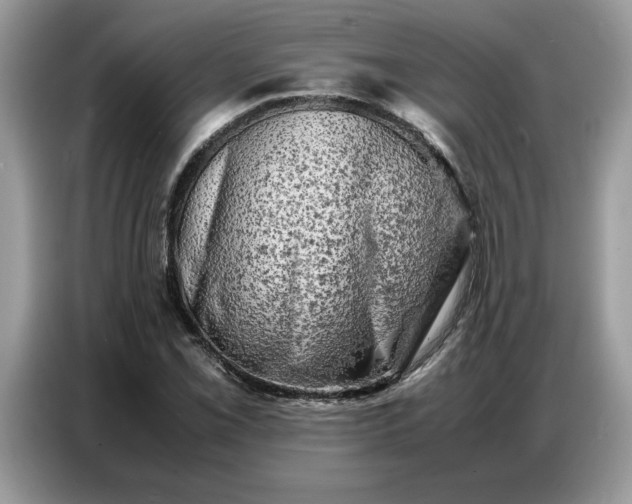 X0000086741069200704271646