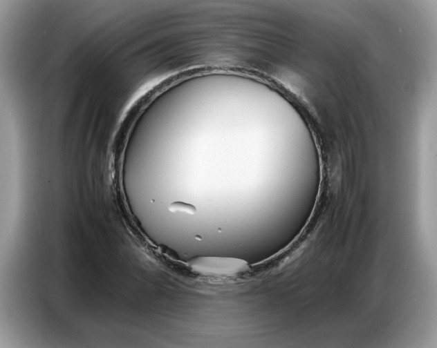 X0000086741070200704271646