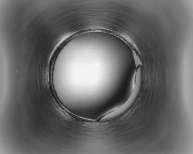 X0000086741076200704271646