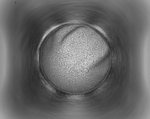 X0000086741078200704271646