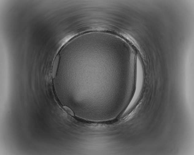 X0000086741081200704271646