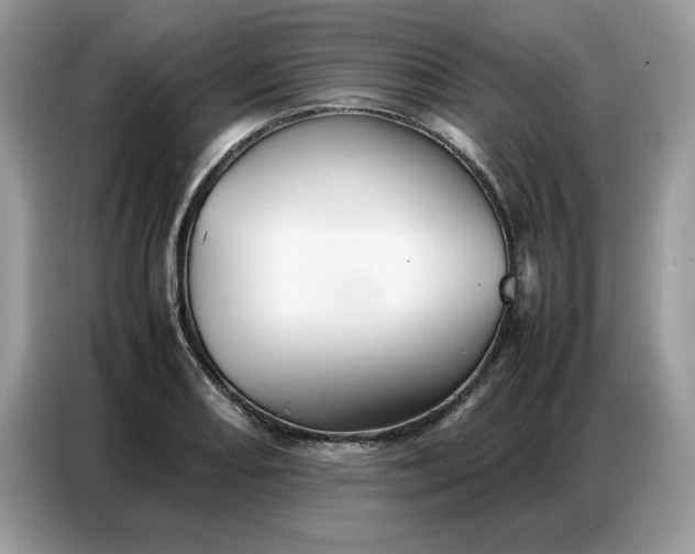 X0000086741082200704271646