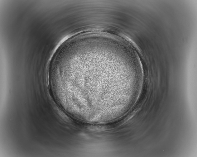 X0000086741083200704271646