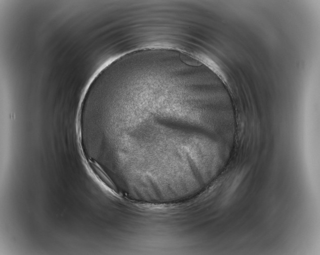 X0000086741084200704271645