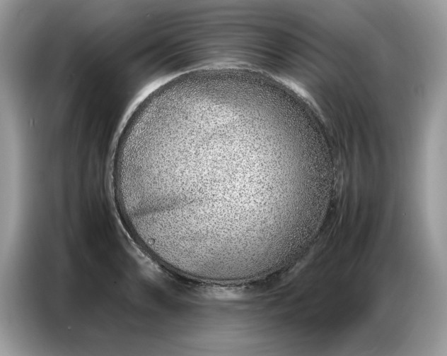 X0000086741086200704271645