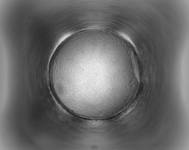 X0000086741087200704271645