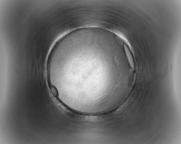 X0000086741088200704271645