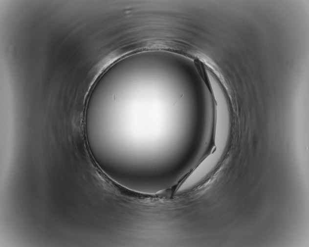 X0000086741089200704271645