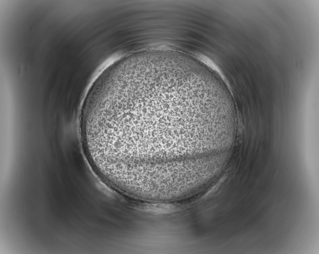 X0000086741090200704271645