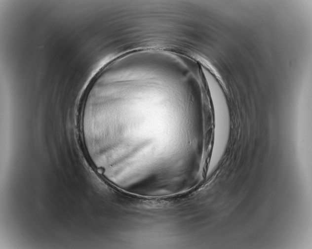 X0000086741091200704271645