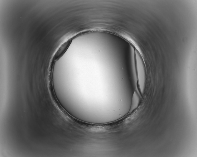 X0000086741093200704271645