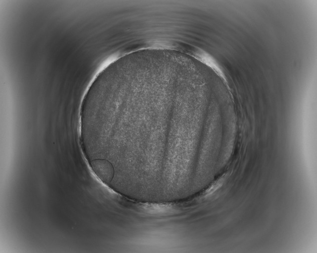 X0000086741095200704271645