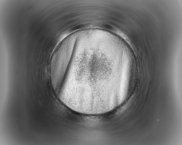 X0000086741097200704271645