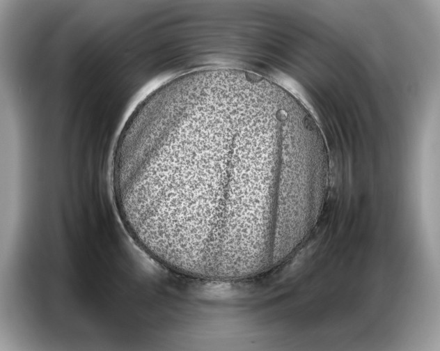 X0000086741098200704271645