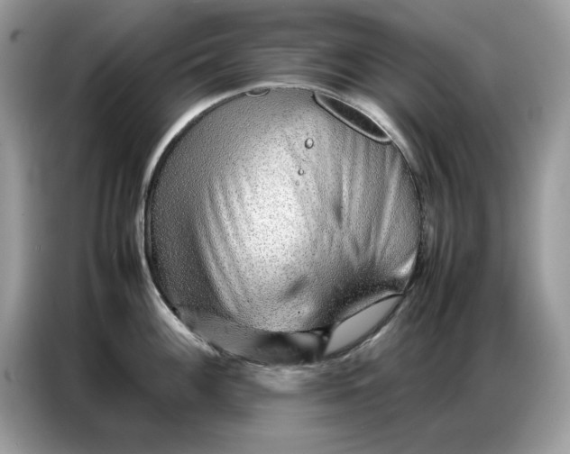 X0000086741100200704271645