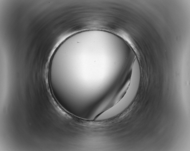 X0000086741102200704271645