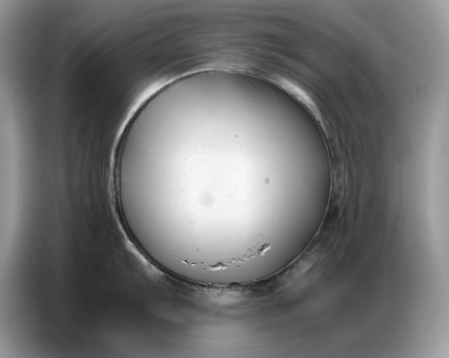 X0000086741103200704271645