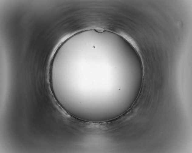 X0000086741104200704271645