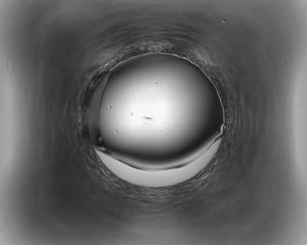 X0000086741109200704271645