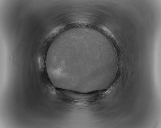 X0000086741110200704271645