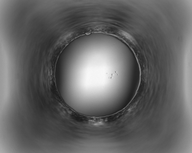 X0000086741111200704271645