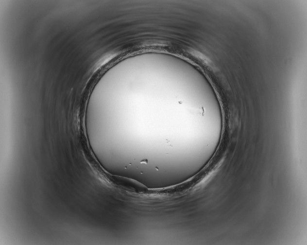 X0000086741113200704271645