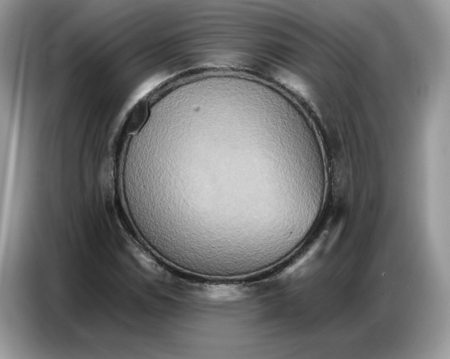 X0000086741114200704271645