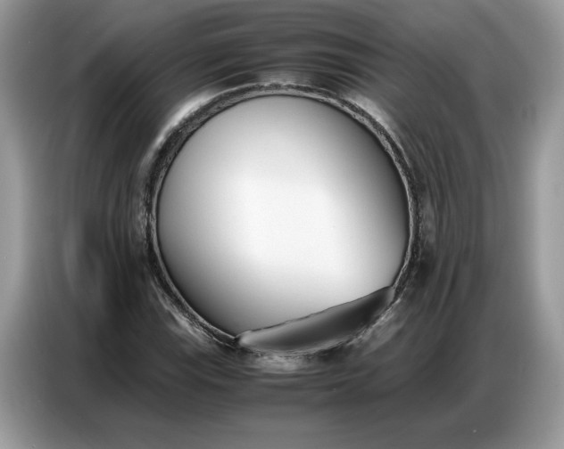 X0000086741115200704271645