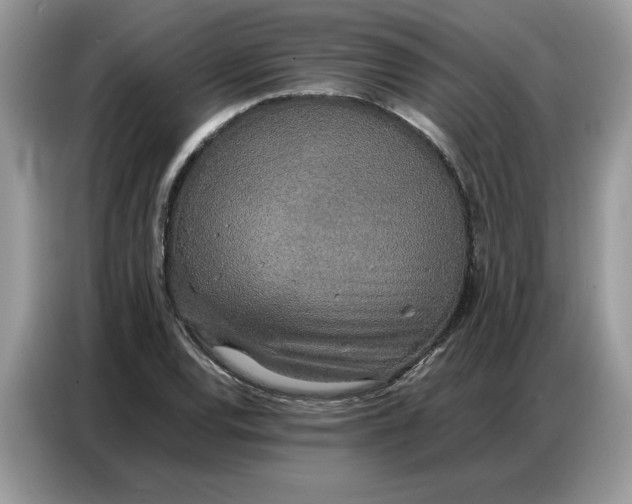 X0000086741120200704271645