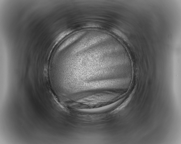 X0000086741121200704271645