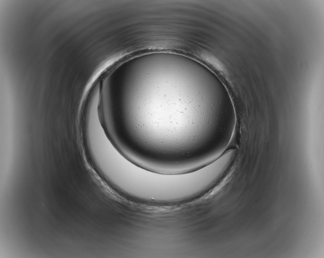 X0000086741122200704271645