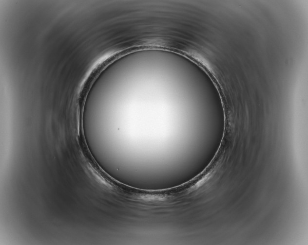 X0000086741123200704271645