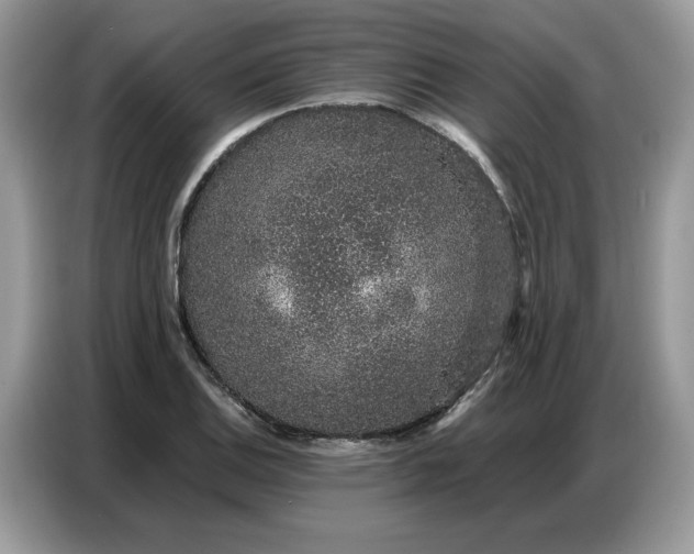 X0000086741124200704271645