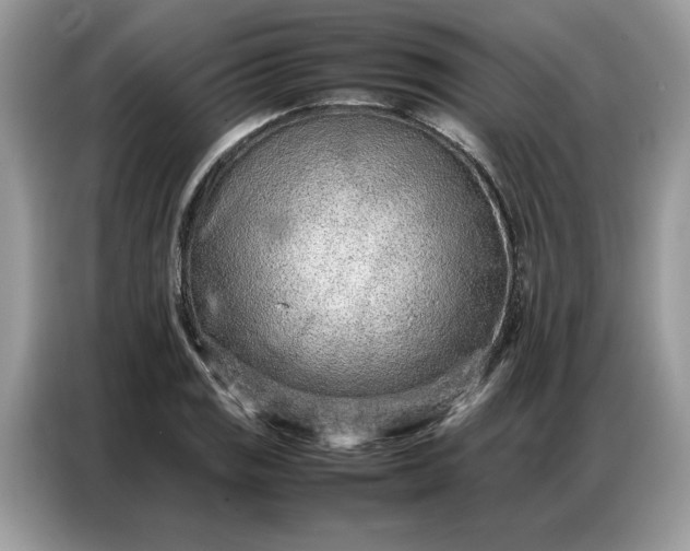 X0000086741125200704271645