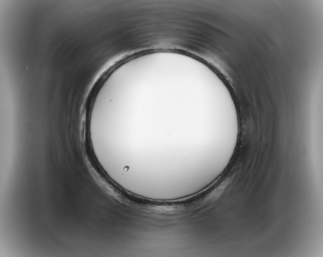 X0000086741126200704271645