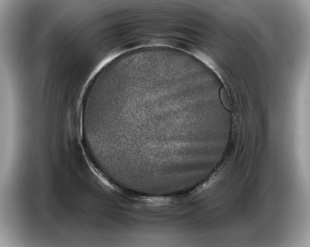 X0000086741127200704271645