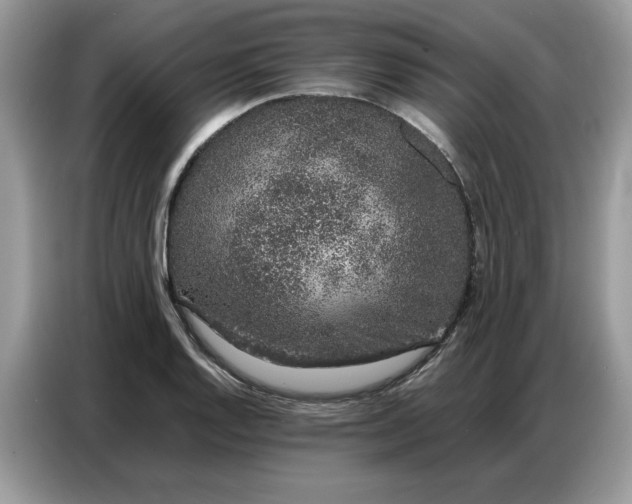 X0000086741128200704271645