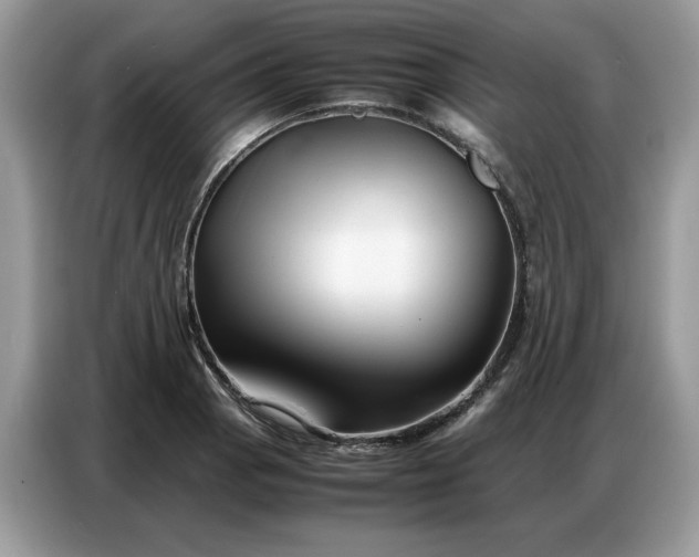 X0000086741129200704271645