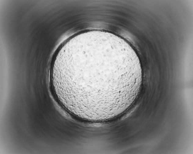 X0000086741130200704271645