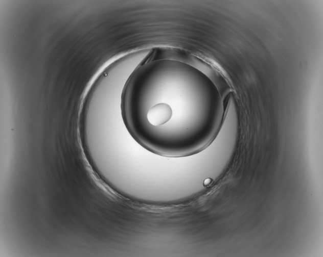 X0000086741132200704271645