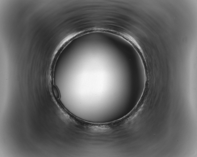 X0000086741133200704271645