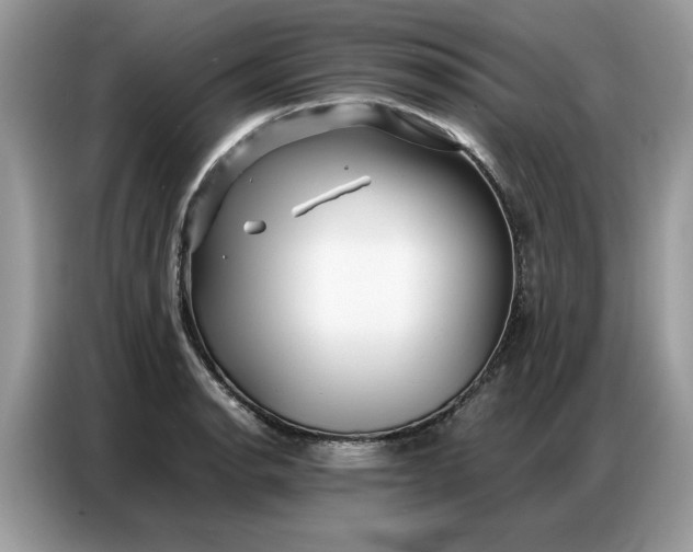 X0000086741134200704271645