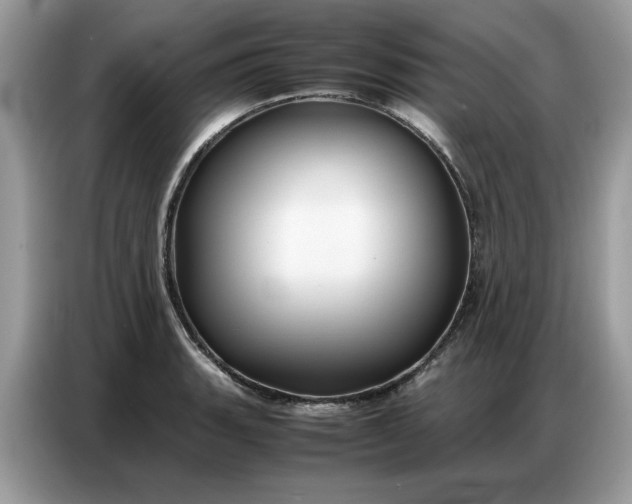 X0000086741135200704271645