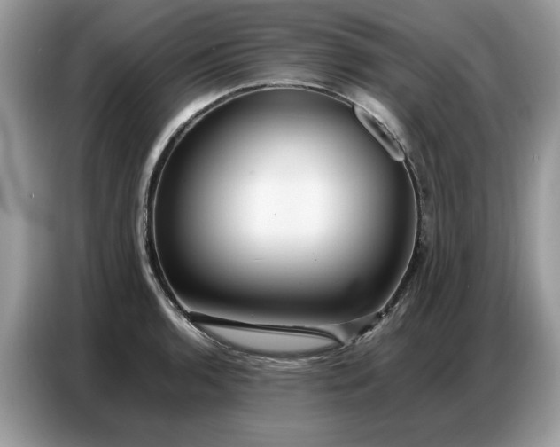 X0000086741136200704271645